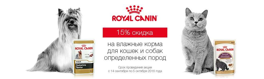 Магазин купи корм спб. Роял Канин для кошек и собак. Роял Канин скидка 15 % на корма для кошек. Роял Канин реклама. Роял Канин баннер.